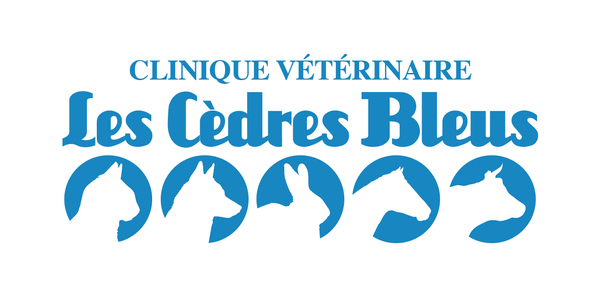 Les Cèdres Bleus