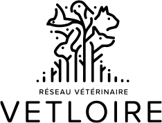 VetLoire